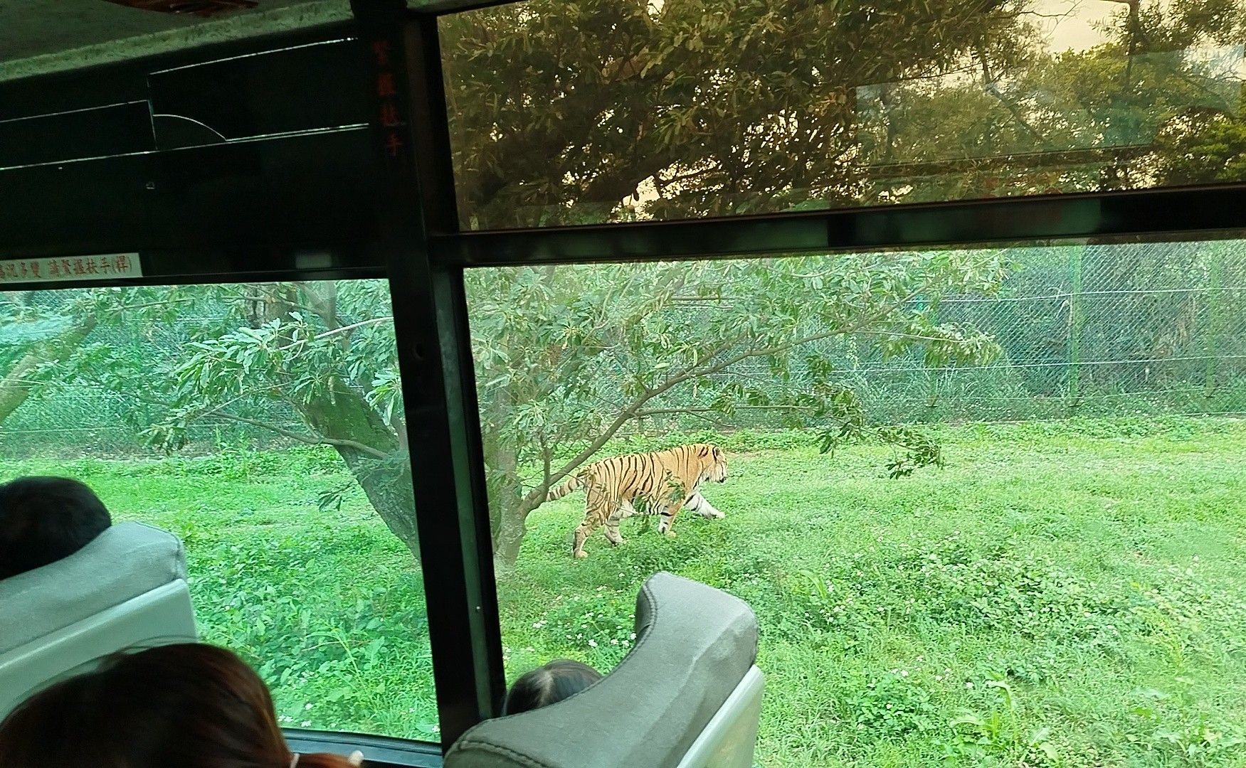 遊客可搭乘巴士穿越野生動物區，觀察動物的自然行為。.jpg
