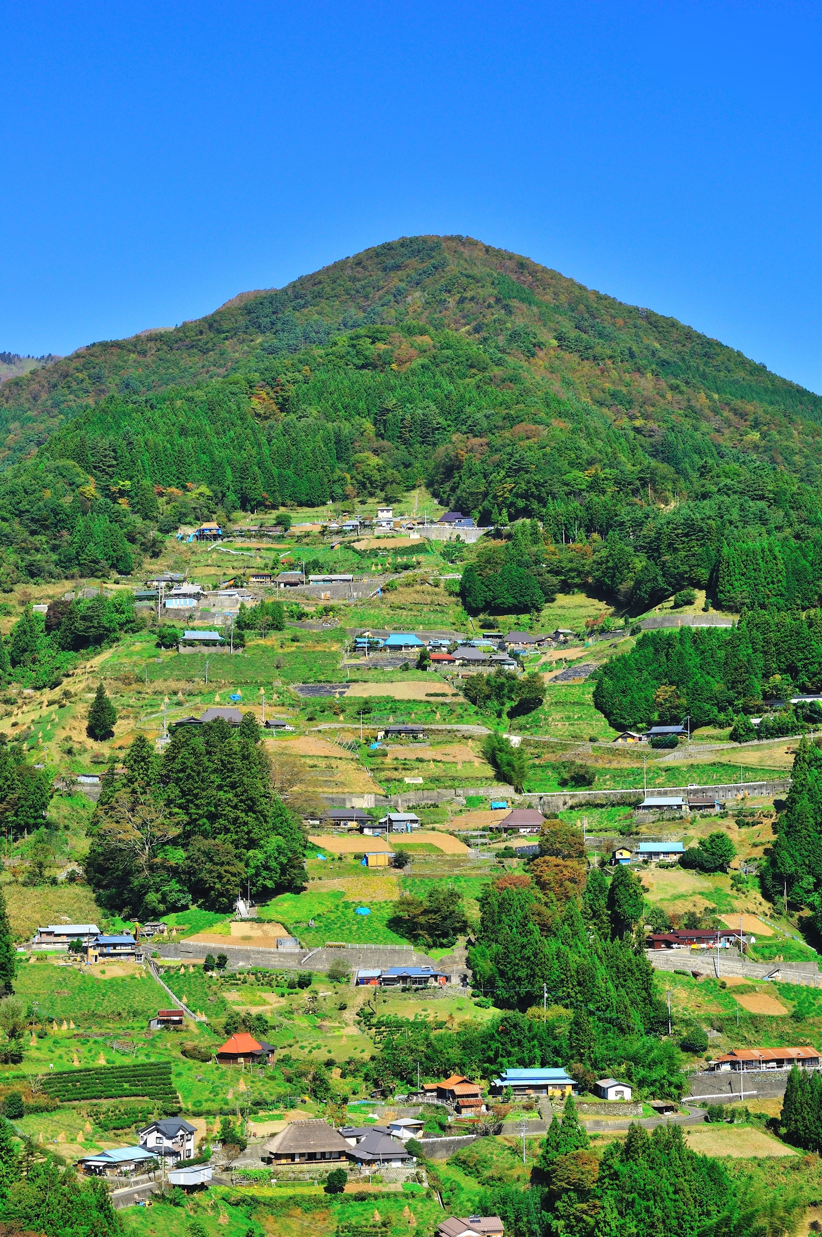 與岐阜縣白川鄉及宮崎縣椎葉村並列為日本三大秘境的落合集落。 （ 圖片來源：徳島県・徳島県観光協会）.jpg