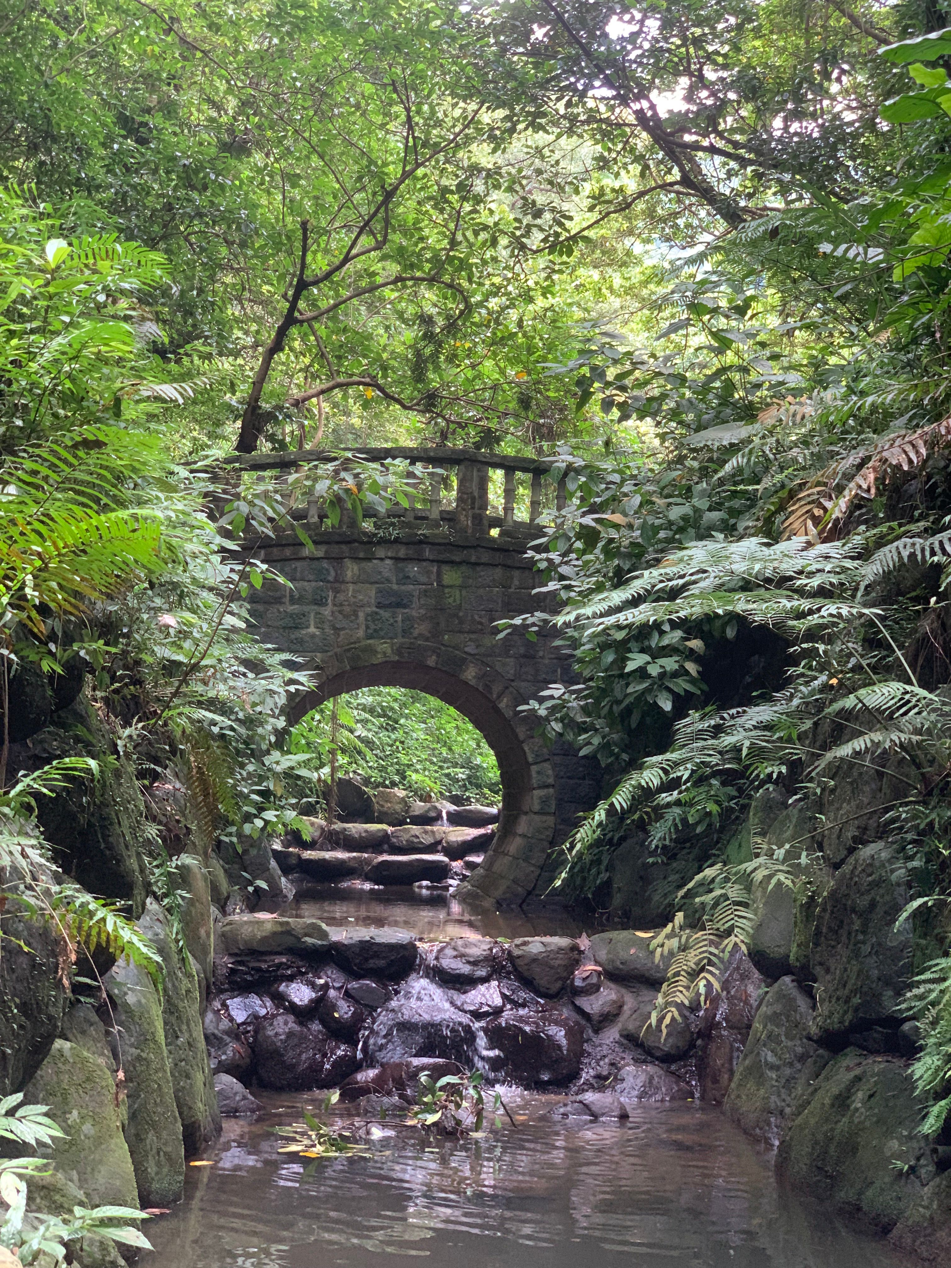 虎山步道著名的打卡拱橋。jpg(1).jpg