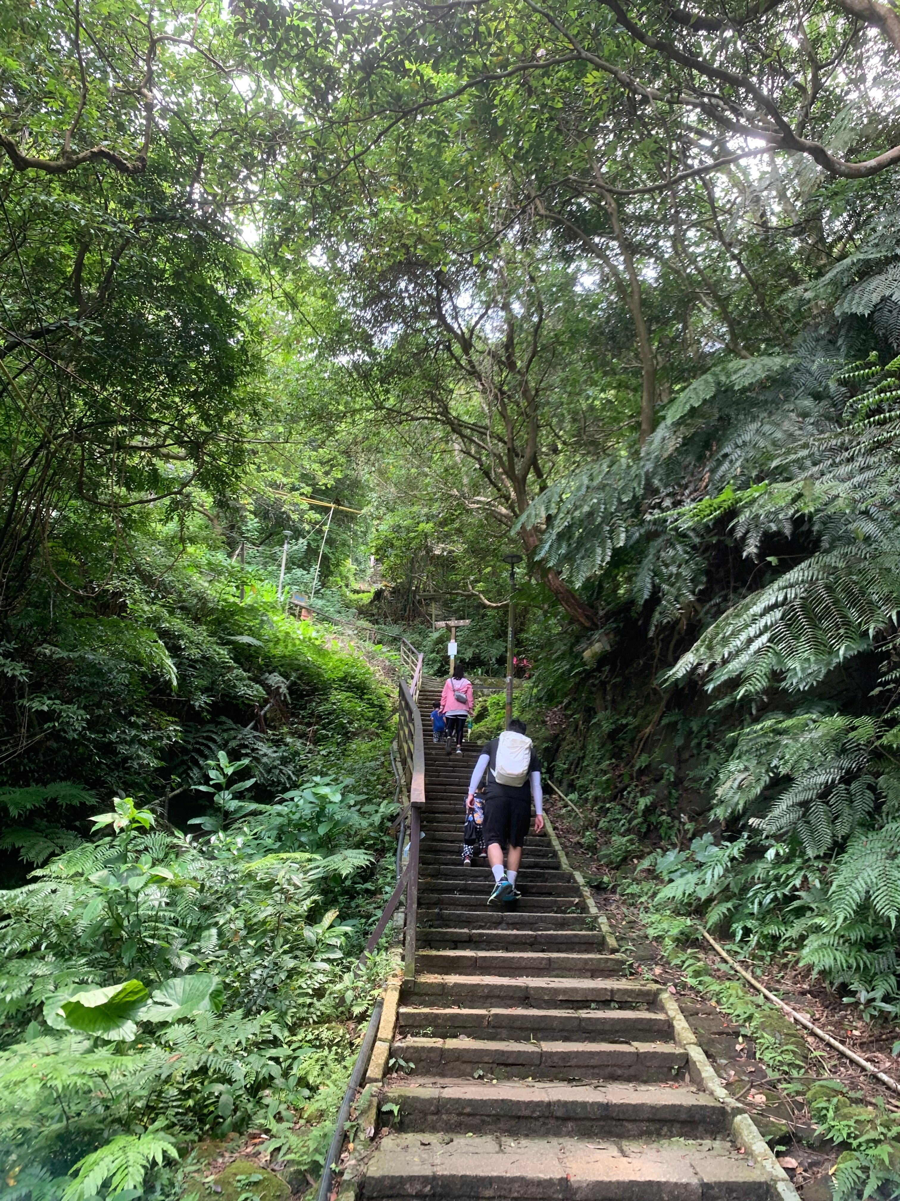 台北虎山步道屬山澗型的生態環境，是台北人享受近郊、親子休閒的好去處。jpg.jpg