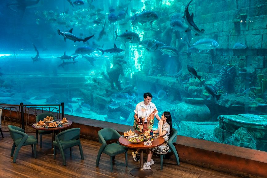 oceanlunchservice.jpg