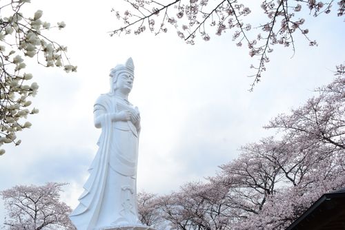 船岡城址公園05.jpg