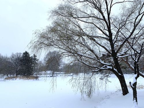漫天飄雪.jpg