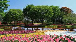 東京近郊日歸充電遊｜立川昭和紀念公園全攻略