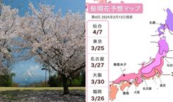 *預測更新｜2025日本櫻花攻略｜靜岡最早．東京德島大阪米子3月．4月仙台