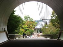 大阪出發尋貝聿銘構建的日本「桃花源」 Miho Museum夏季展登場