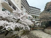 大阪1小時直達！開箱超人氣旅館「有馬温泉月光園」 溫泉老街攻略
