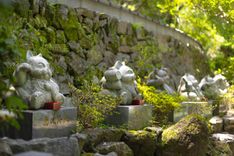 Japan's Three Great Cat Legends: The Hidden Shrine of Tokushima with Over Ten Thousand Lucky Cats