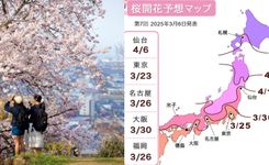 *預測更新｜2025日本櫻花攻略｜靜岡最早．東京德島大阪米子3月．4月仙台